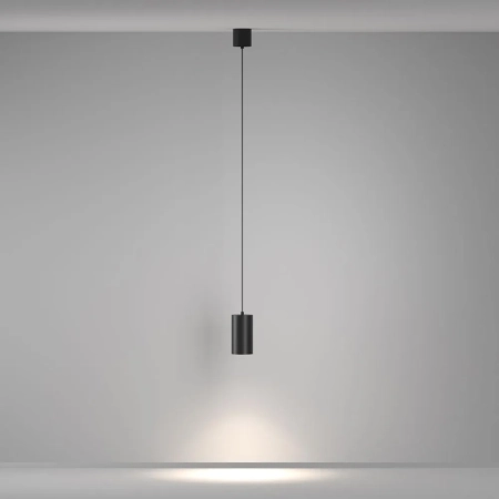 Подвесной светильник Maytoni P100PL-20W4K-B
