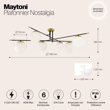 Потолочный светильник Maytoni MOD048CL-06G