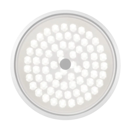 Потолочный светильник Freya FR10012CL-L24W