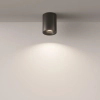 Потолочный светильник Technical C029CL-01B