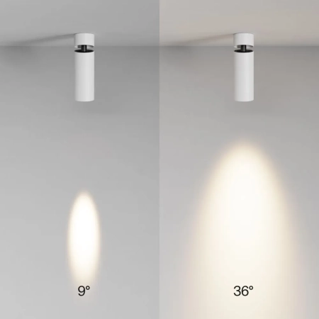 Потолочный светильник Technical C055CL-L12W3K-SS-W