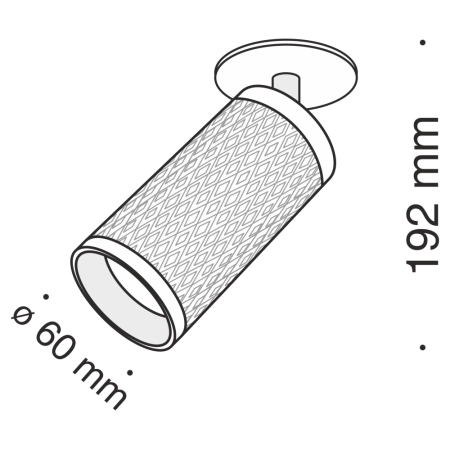 Потолочный светильник Technical C037CL-01W