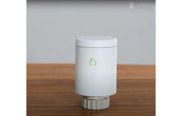 Терморегулятор для радиатора Sibling Powerswitch-ZK