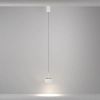 Подвесной светильник Maytoni P102PL-12W4K-W