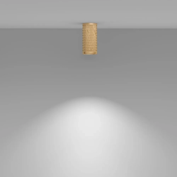 Потолочный светильник Technical C036CL-01G