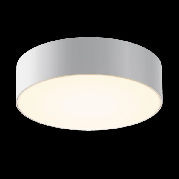 Уличный потолочный светильник Outdoor O431CL-L30W3K